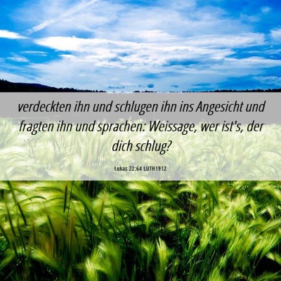 Picture 06 - Lukas 22:64 LUTH1912 - verdeckten ihn und schlugen ihn ins Angesicht und - Bible Verse Picture