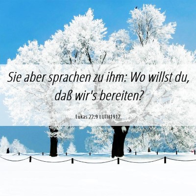 Picture 06 - Lukas 22:9 LUTH1912 - Sie aber sprachen zu ihm: Wo willst du, daß - Bible Verse Picture