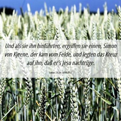 Picture 06 - Lukas 23:26 LUTH1912 - Und als sie ihn hinführten, ergriffen sie einen, - Bible Verse Picture