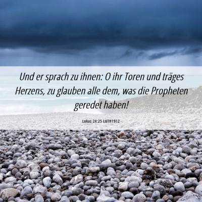 Picture 06 - Lukas 24:25 LUTH1912 - Und er sprach zu ihnen: O ihr Toren und träges - Bible Verse Picture