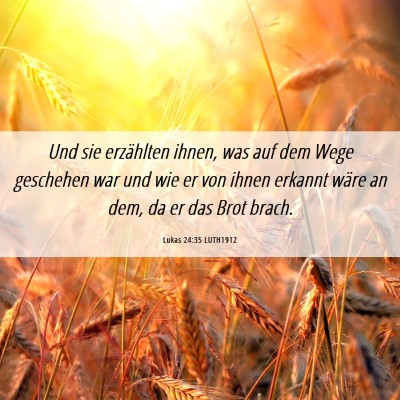 Picture 06 - Lukas 24:35 LUTH1912 - Und sie erzählten ihnen, was auf dem Wege - Bible Verse Picture