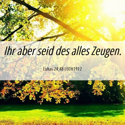Picture 06 - Lukas 24:48 LUTH1912 - Ihr aber seid des alles - Bible Verse Picture