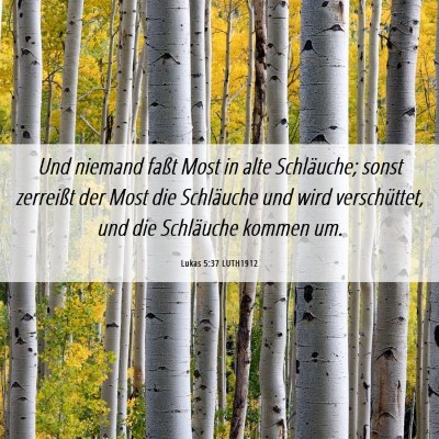 Picture 06 - Lukas 5:37 LUTH1912 - Und niemand faßt Most in alte Schläuche; sonst - Bible Verse Picture