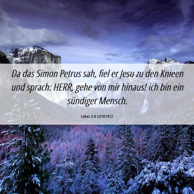 Picture 06 - Lukas 5:8 LUTH1912 - Da das Simon Petrus sah, fiel er Jesu zu den - Bible Verse Picture