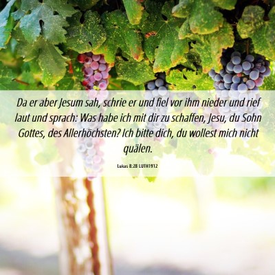 Picture 06 - Lukas 8:28 LUTH1912 - Da er aber Jesum sah, schrie er und fiel vor ihm - Bible Verse Picture