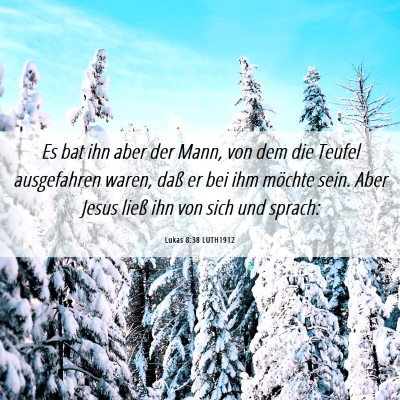 Picture 06 - Lukas 8:38 LUTH1912 - Es bat ihn aber der Mann, von dem die Teufel - Bible Verse Picture