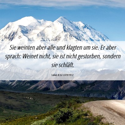 Picture 06 - Lukas 8:52 LUTH1912 - Sie weinten aber alle und klagten um sie. Er aber - Bible Verse Picture