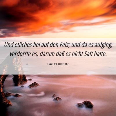 Picture 06 - Lukas 8:6 LUTH1912 - Und etliches fiel auf den Fels; und da es - Bible Verse Picture