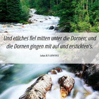 Picture 06 - Lukas 8:7 LUTH1912 - Und etliches fiel mitten unter die Dornen; und - Bible Verse Picture