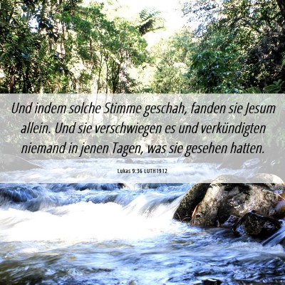 Picture 06 - Lukas 9:36 LUTH1912 - Und indem solche Stimme geschah, fanden sie Jesum - Bible Verse Picture