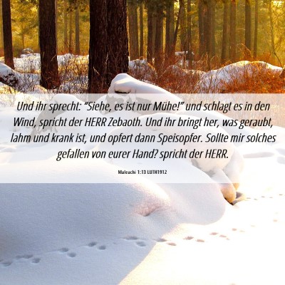 Picture 06 - Maleachi 1:13 LUTH1912 - Und ihr sprecht: “Siehe, es ist nur Mühe!” - Bible Verse Picture