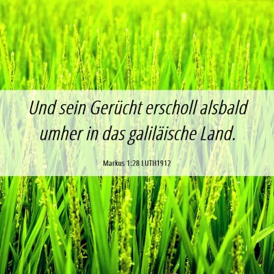 Picture 06 - Markus 1:28 LUTH1912 - Und sein Gerücht erscholl alsbald umher in das - Bible Verse Picture
