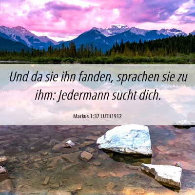 Picture 06 - Markus 1:37 LUTH1912 - Und da sie ihn fanden, sprachen sie zu ihm: - Bible Verse Picture