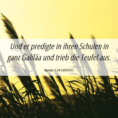 Picture 06 - Markus 1:39 LUTH1912 - Und er predigte in ihren Schulen in ganz Galiläa - Bible Verse Picture