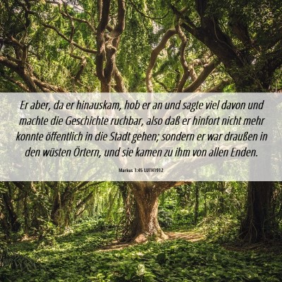 Picture 06 - Markus 1:45 LUTH1912 - Er aber, da er hinauskam, hob er an und sagte - Bible Verse Picture
