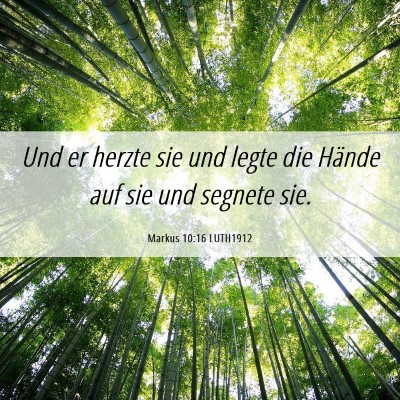 Picture 06 - Markus 10:16 LUTH1912 - Und er herzte sie und legte die Hände auf sie - Bible Verse Picture