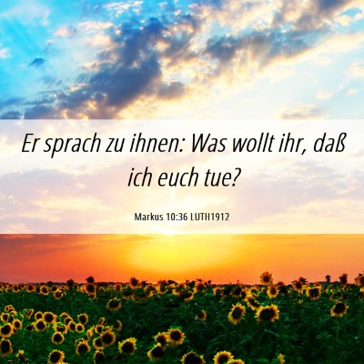 Picture 06 - Markus 10:36 LUTH1912 - Er sprach zu ihnen: Was wollt ihr, daß ich euch - Bible Verse Picture