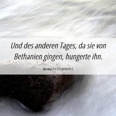 Picture 06 - Markus 11:12 LUTH1912 - Und des anderen Tages, da sie von Bethanien - Bible Verse Picture