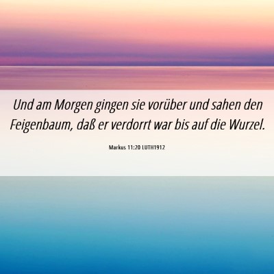 Picture 06 - Markus 11:20 LUTH1912 - Und am Morgen gingen sie vorüber und sahen den - Bible Verse Picture