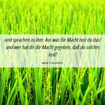 Picture 06 - Markus 11:28 LUTH1912 - und sprachen zu ihm: Aus was für Macht tust du - Bible Verse Picture