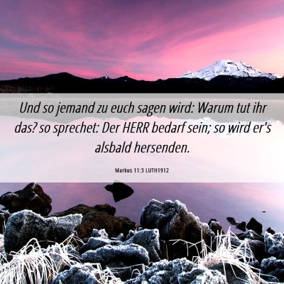 Picture 06 - Markus 11:3 LUTH1912 - Und so jemand zu euch sagen wird: Warum tut ihr - Bible Verse Picture