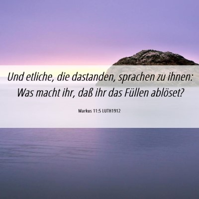 Picture 06 - Markus 11:5 LUTH1912 - Und etliche, die dastanden, sprachen zu ihnen: - Bible Verse Picture