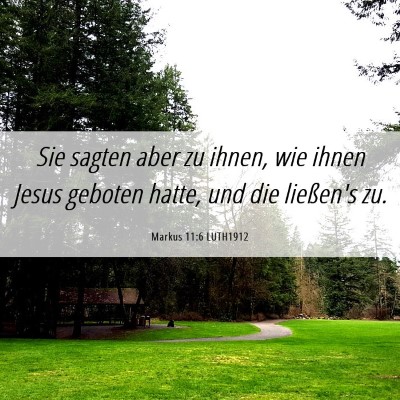 Picture 06 - Markus 11:6 LUTH1912 - Sie sagten aber zu ihnen, wie ihnen Jesus geboten - Bible Verse Picture
