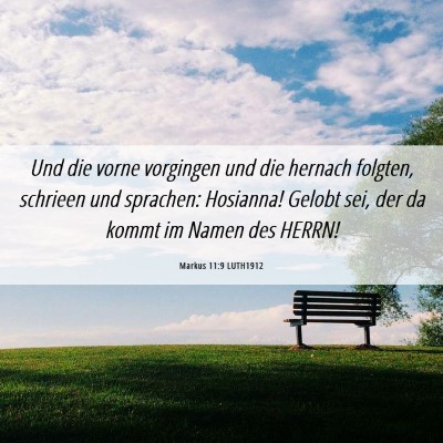 Picture 06 - Markus 11:9 LUTH1912 - Und die vorne vorgingen und die hernach folgten, - Bible Verse Picture