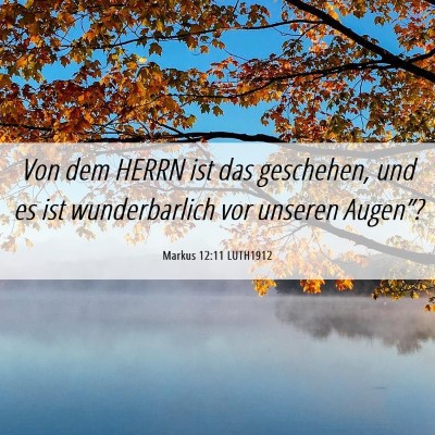 Picture 06 - Markus 12:11 LUTH1912 - Von dem HERRN ist das geschehen, und es ist - Bible Verse Picture