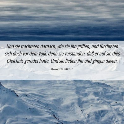Picture 06 - Markus 12:12 LUTH1912 - Und sie trachteten darnach, wie sie ihn griffen, - Bible Verse Picture