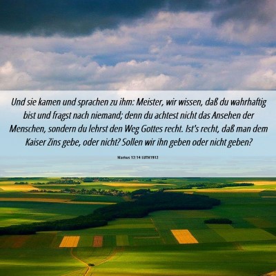 Picture 06 - Markus 12:14 LUTH1912 - Und sie kamen und sprachen zu ihm: Meister, wir - Bible Verse Picture