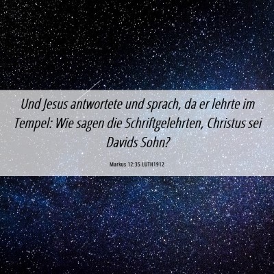 Picture 06 - Markus 12:35 LUTH1912 - Und Jesus antwortete und sprach, da er lehrte im - Bible Verse Picture