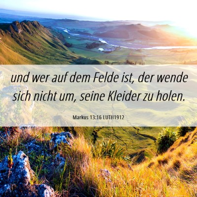 Picture 06 - Markus 13:16 LUTH1912 - und wer auf dem Felde ist, der wende sich nicht - Bible Verse Picture