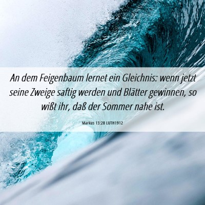 Picture 06 - Markus 13:28 LUTH1912 - An dem Feigenbaum lernet ein Gleichnis: wenn - Bible Verse Picture