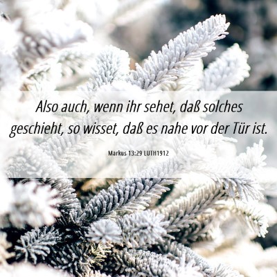 Picture 06 - Markus 13:29 LUTH1912 - Also auch, wenn ihr sehet, daß solches - Bible Verse Picture