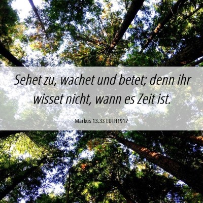 Picture 06 - Markus 13:33 LUTH1912 - Sehet zu, wachet und betet; denn ihr wisset - Bible Verse Picture