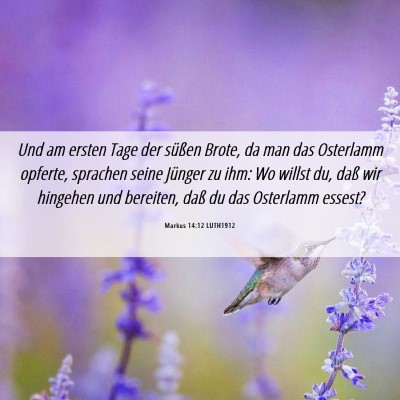 Picture 06 - Markus 14:12 LUTH1912 - Und am ersten Tage der süßen Brote, da man das - Bible Verse Picture
