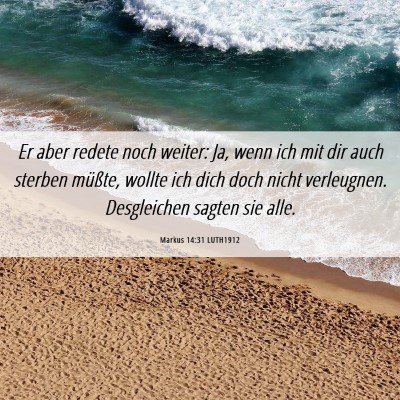 Picture 06 - Markus 14:31 LUTH1912 - Er aber redete noch weiter: Ja, wenn ich mit dir - Bible Verse Picture