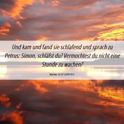Picture 06 - Markus 14:37 LUTH1912 - Und kam und fand sie schlafend und sprach zu - Bible Verse Picture