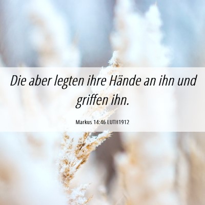 Picture 06 - Markus 14:46 LUTH1912 - Die aber legten ihre Hände an ihn und griffen - Bible Verse Picture