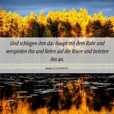 Picture 06 - Markus 15:19 LUTH1912 - Und schlugen ihm das Haupt mit dem Rohr und - Bible Verse Picture