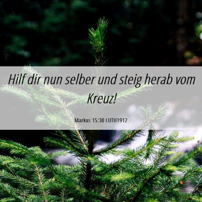Picture 06 - Markus 15:30 LUTH1912 - Hilf dir nun selber und steig herab vom - Bible Verse Picture