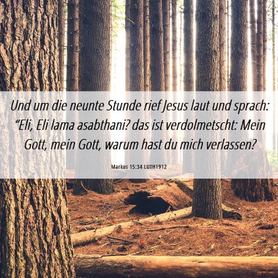 Picture 06 - Markus 15:34 LUTH1912 - Und um die neunte Stunde rief Jesus laut und - Bible Verse Picture