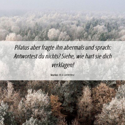 Picture 06 - Markus 15:4 LUTH1912 - Pilatus aber fragte ihn abermals und sprach: - Bible Verse Picture