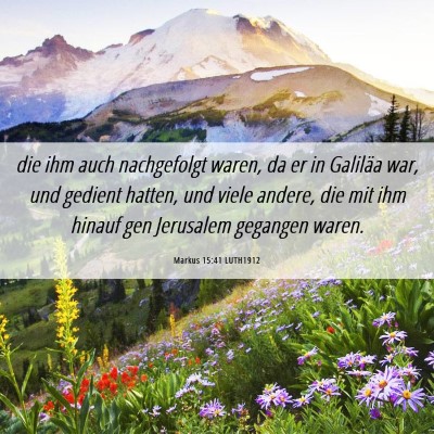 Picture 06 - Markus 15:41 LUTH1912 - die ihm auch nachgefolgt waren, da er in Galiläa - Bible Verse Picture