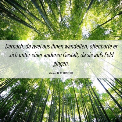 Picture 06 - Markus 16:12 LUTH1912 - Darnach, da zwei aus ihnen wandelten, offenbarte - Bible Verse Picture