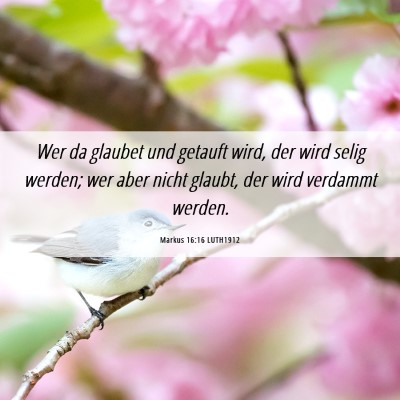 Picture 06 - Markus 16:16 LUTH1912 - Wer da glaubet und getauft wird, der wird selig - Bible Verse Picture