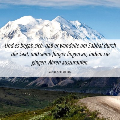 Picture 06 - Markus 2:23 LUTH1912 - Und es begab sich, daß er wandelte am Sabbat - Bible Verse Picture