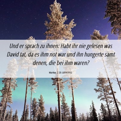 Picture 06 - Markus 2:25 LUTH1912 - Und er sprach zu ihnen: Habt ihr nie gelesen was - Bible Verse Picture