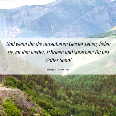 Picture 06 - Markus 3:11 LUTH1912 - Und wenn ihn die unsauberen Geister sahen, fielen - Bible Verse Picture